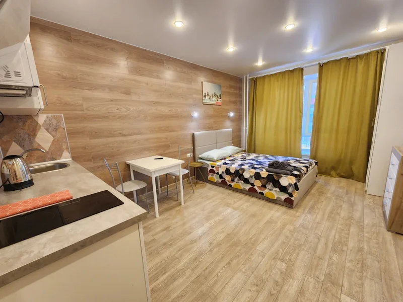Другие фото апартаментов «New Loft Studio»
