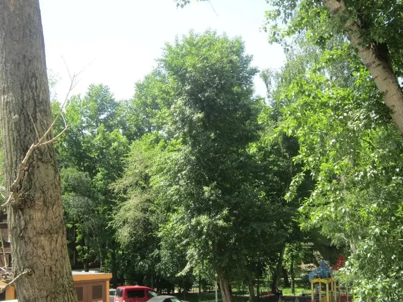 Фасад / вход «Double Plus Hostel Novoslobodskaya»