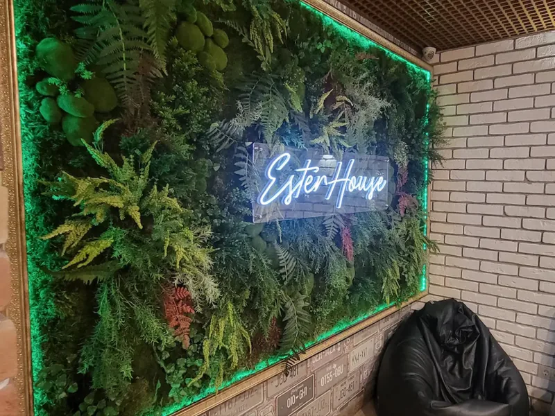Фасад / вход «Ester House»