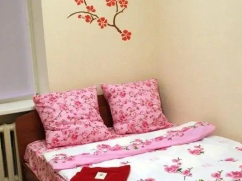 Ресепшн / лобби «OOO Irbis Hostel»