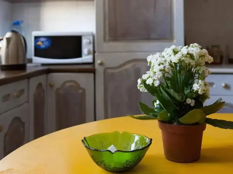 Другие фото хостела «Oh So Indie House Hostel»