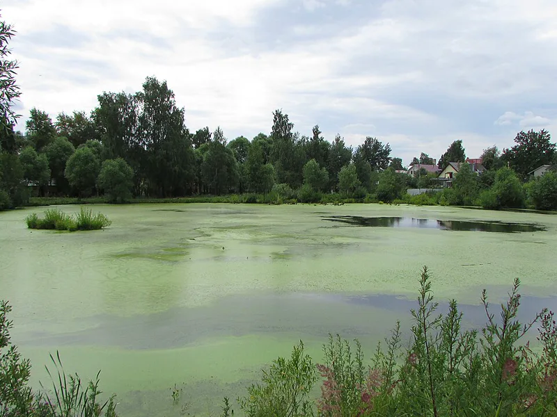 Номер в хостеле «Ozernaya Hostel»