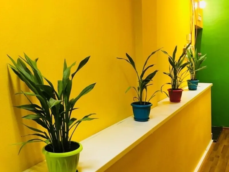 Ресепшн / лобби «Trevel Inn Na Novoslobodskoj Hostel»