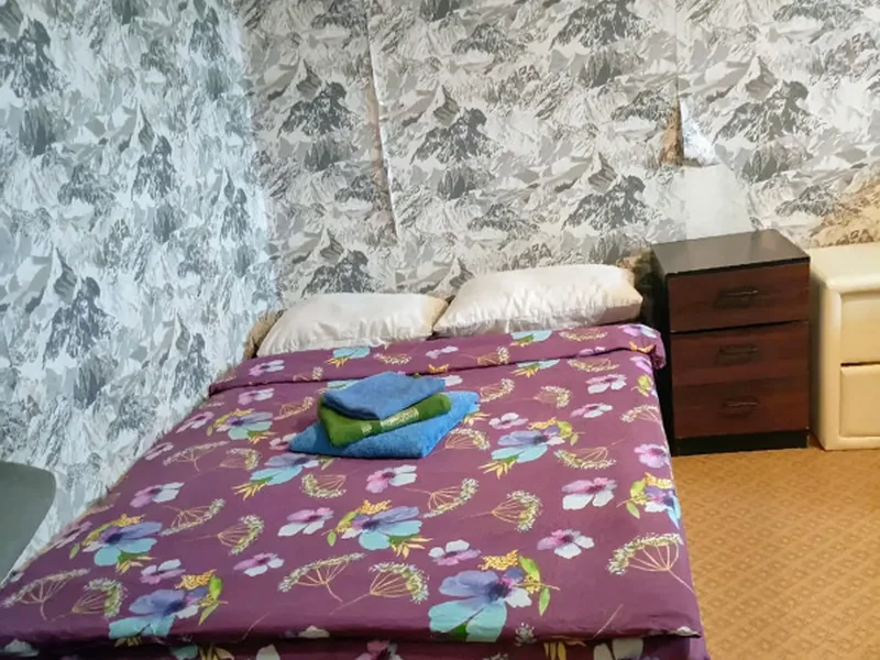 Номер в квартире «Бюджетная квартира с большим размещением»