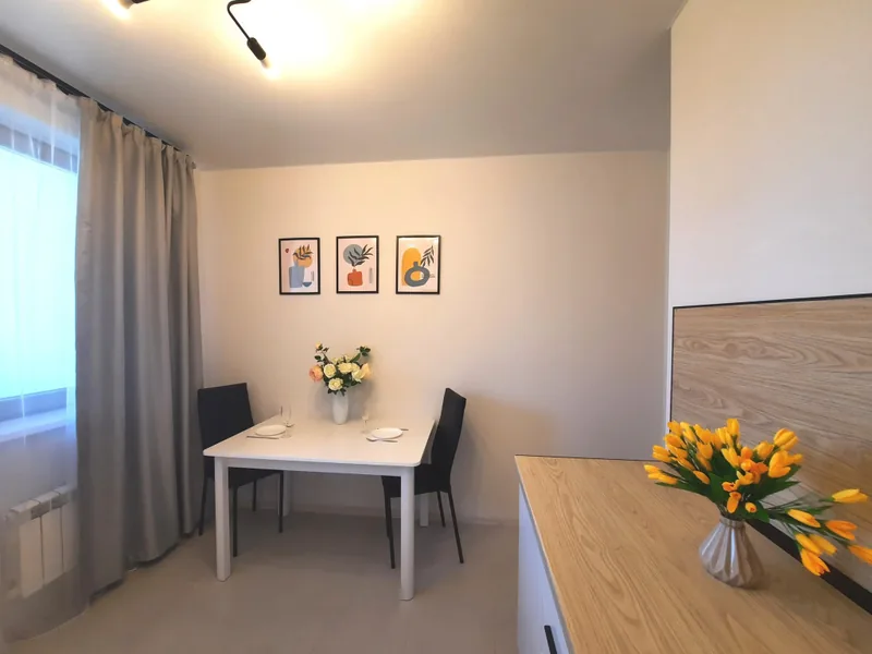 Номер в квартире «Loft Studio на Сосновой»