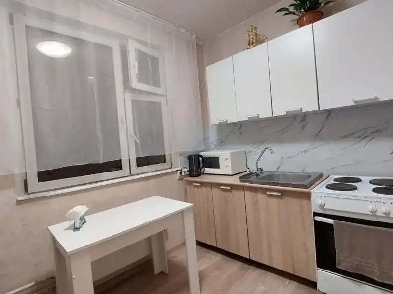 Другие фото квартиры «на Ивана Сусанина 6к1»
