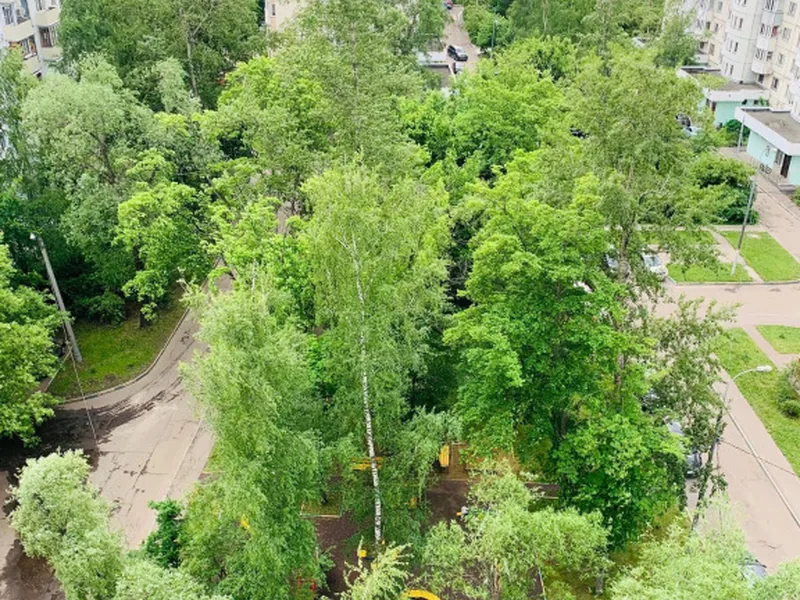Фасад / вход «Уютная в 5 Минутах от Метро Кузьминки»