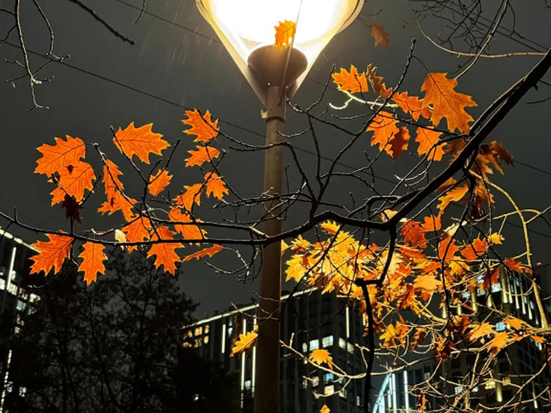 Фасад / вход «ВДНХ»