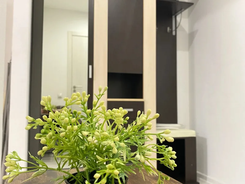 Другие фото квартиры «вместительная студия»