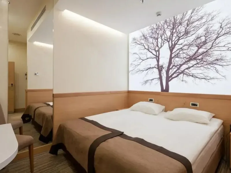Двухместный номер Standard (без окна) в отеле «Аэротель Экспресс ZONT Hotel Group»