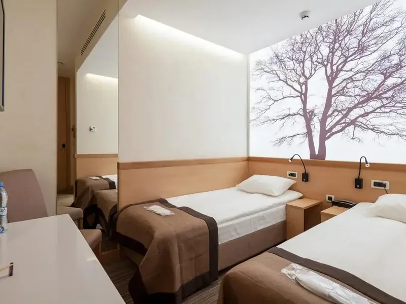 Отель Аэротель Экспресс ZONT Hotel Group, Аэропорт Домодедово, строение 1, Москва