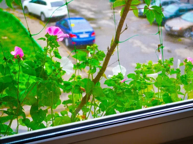 Другие фото номеров отеля «Кардинал Холл»