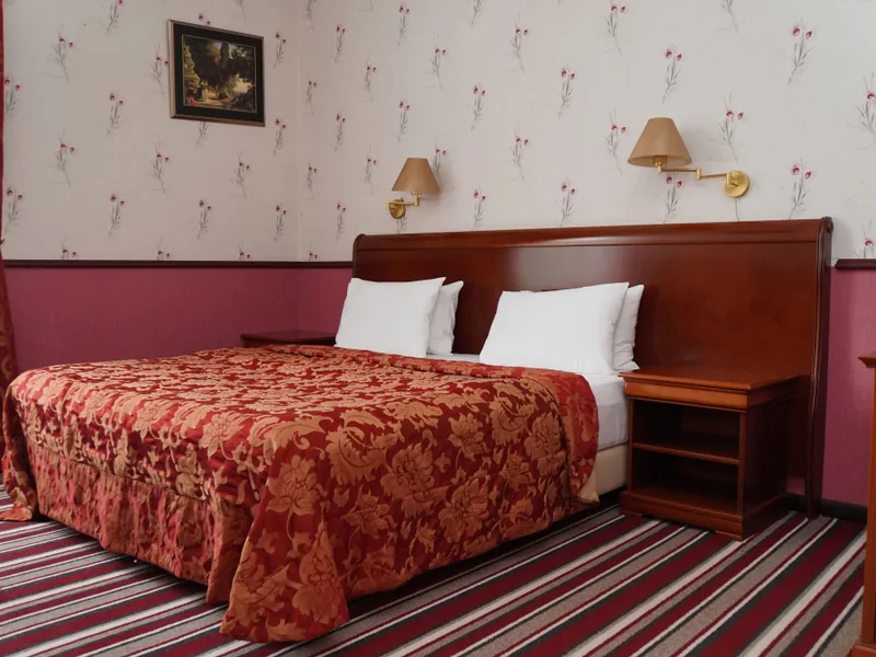 Двухместный номер Standard в отеле «Grand Wellness Hotel & Spa 5*»
