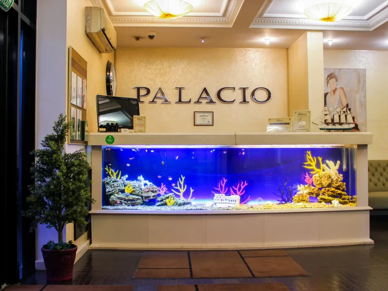 Ресепшн / лобби «Palacio»