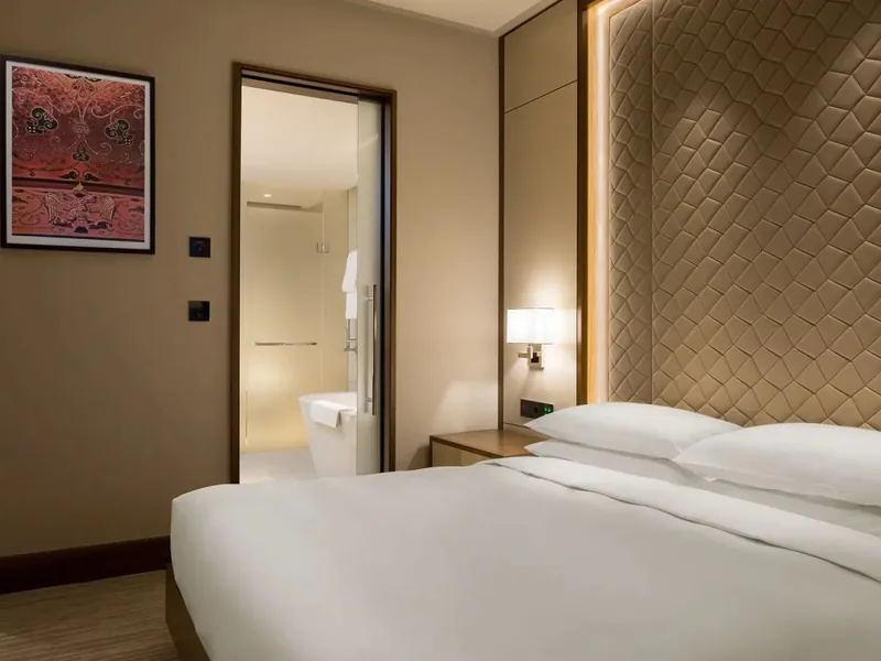 Двухместный номер с доступом в клубную гостиную в отеле «Hyatt Regency Moscow Petrovsky Park»
