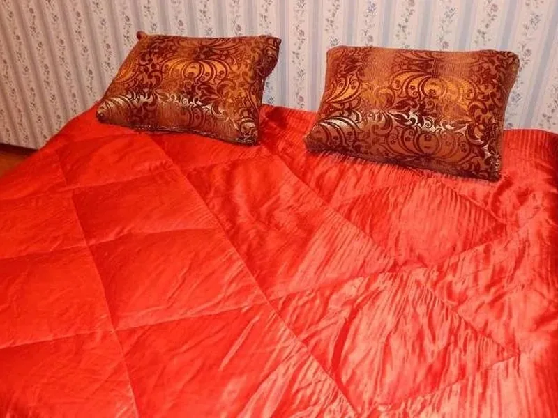 Другие фото отеля «Mini-Hotel Zvezda Leningradskaya»