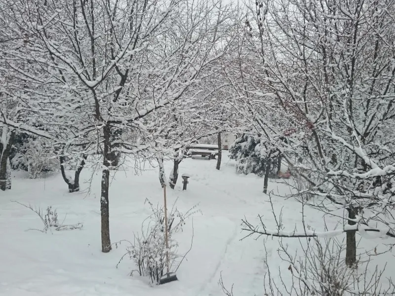 Фасад / вход «у Воды»