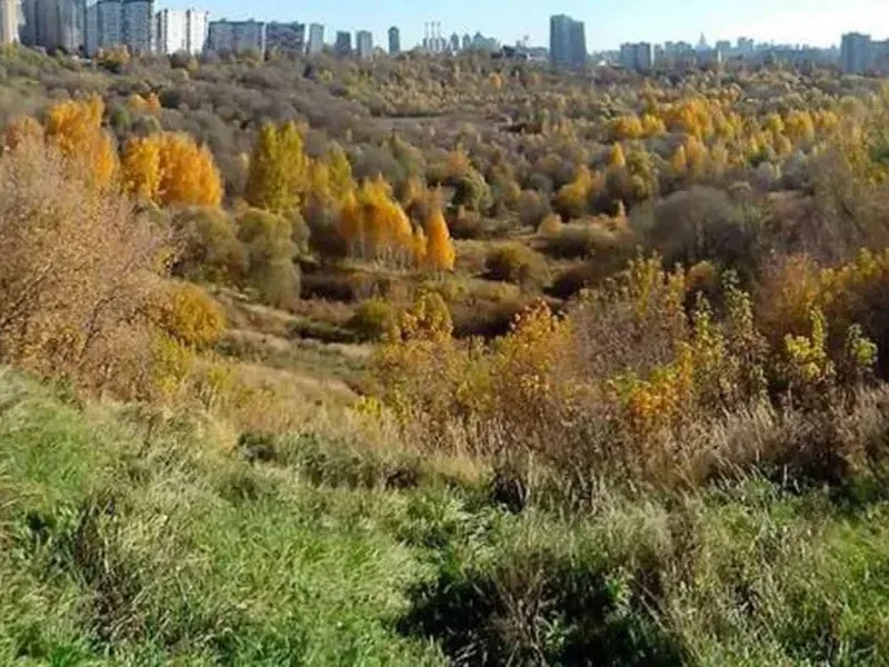 Фасад / вход «Походный»